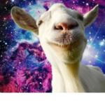 Goat From Mars Clothing