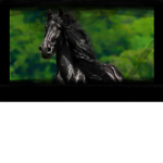 -+Ice Stables+-