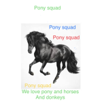 Donkey pony horse squad