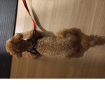 2.한국부대
