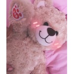 The Teddyz~