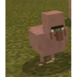 cronics server is cool