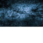Dark Matter 2020