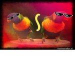 S and pop