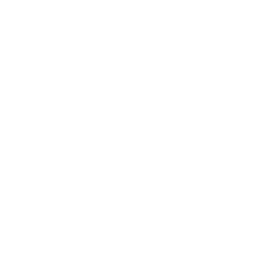 ? icon