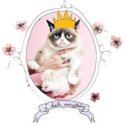 cats Roblox decal