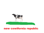 Cow poo studios