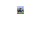 Official Minecraft Club