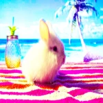 candy ‘ Group Thumbnail