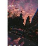 •RetroBlossom•