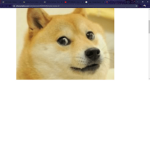 DoGe Doge :)