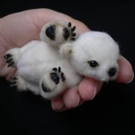 Team Polar Bear