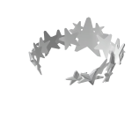 silver crown