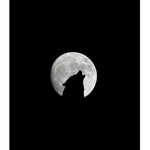 The Wolf's Impire