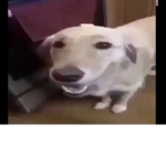 eeeepik mones