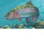 Rainbow Trout Legion