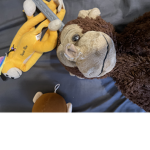 Monkeys club 123