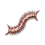 Worm 湃