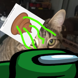 Roblox Video Frame test