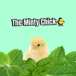 Minty Chick