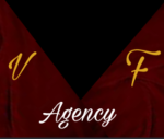 The Velvet Frame Agency