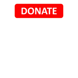 RBLXMaster Donates