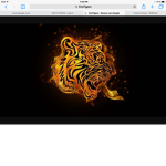 FireTigers
