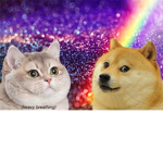 The Fantastic Doge Group
