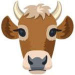 cow gang is here