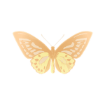 Butterflyy Clothing <3