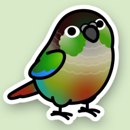 birb // green cheek conure chibi Roblox decal