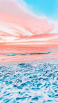 -Ocean life-