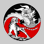 American Ken po Karate Academy