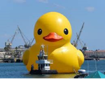 Quack Master Kingdom