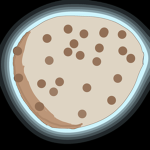 ~The Cookie Queens~