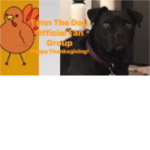 Fynn the dog official fan group