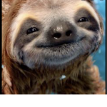 Slothh Gangg