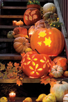 The_PumkinGroup