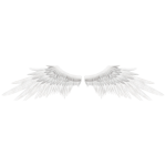 white wings