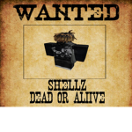 sleepwalkerz