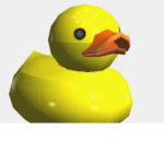 Quacks gang