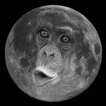 Moonkey Club