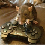 RataArmy