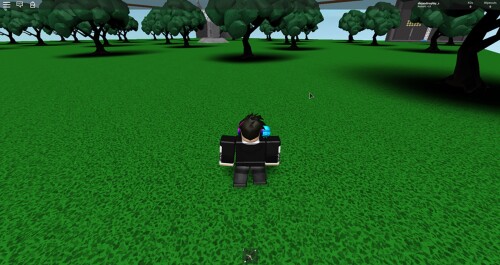 Sword Fighting Arena