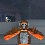 THE MONKY GANGS