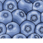 ~Blueberry gang~