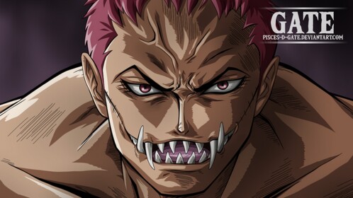 One Piece Game