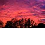 Cloudy Sunsets