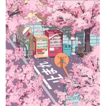 cherry blossoms~*