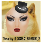 The army of DOGE 2134567890_2